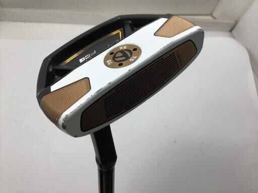 TaylorMade Spider FCG BLACK/WHITE SMALL SLANT 34 in Putter With Head Cover